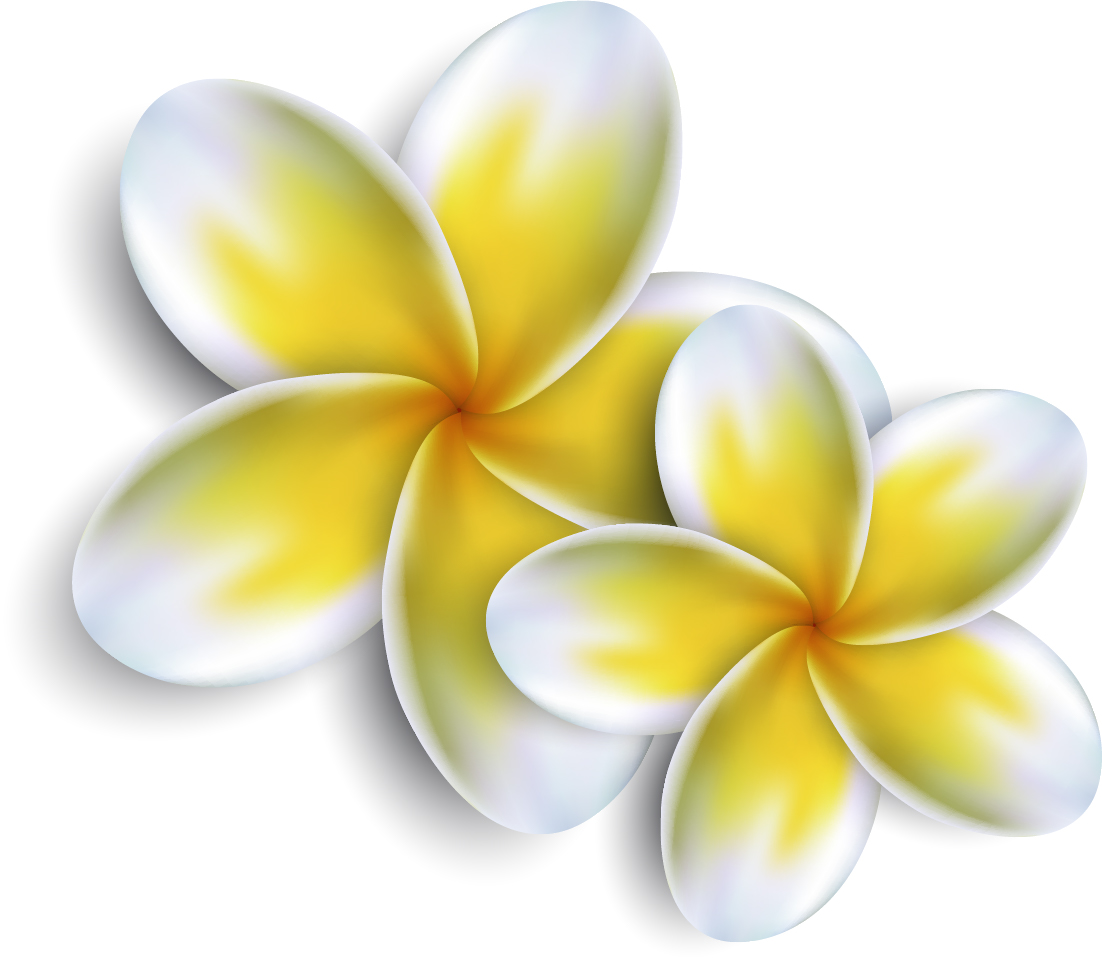 summer-blooms