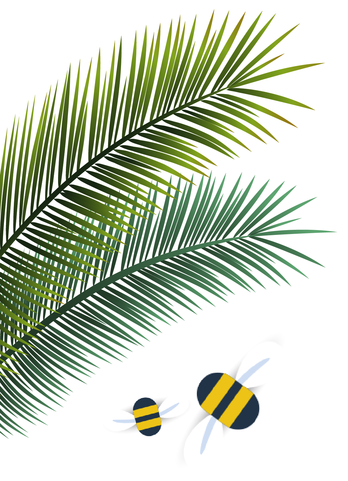 summer-leaves